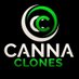 cannaclones (@cannaclones1) Twitter profile photo cannaclones (@cannaclones1) Twitter profile photo