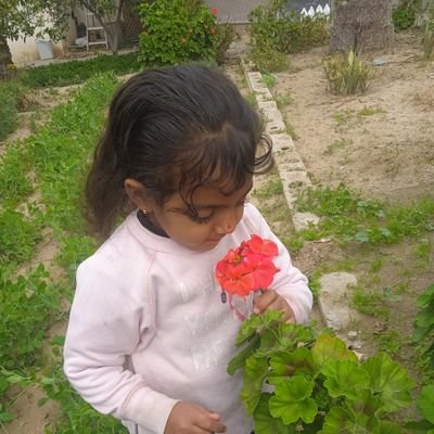 فتاة من نور 💫تجمع بين القدس والياسمين،🌼تعانق السماء بحلم💭تهزمنى الحروف ✏
استوطن الحزن في قلبي
واحاطني الياس من كل جانب
اصبحت اشتهى رحيلا من الحياة دون عودة