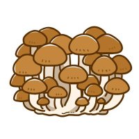 シメジ🍙🌲💬 🔁💙☃️ (@shimezi02) 's Twitter Profile Photo
