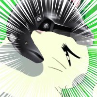 こーし (@handazuke_jp) 's Twitter Profile