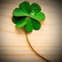 ngonderan81 (@ngonderan27) 's Twitter Profile Photo