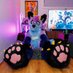 Archie Fox-Dragon ๐ Aurawra (@archieboi_fd) Twitter profile photo Archie Fox-Dragon ๐ Aurawra (@archieboi_fd) Twitter profile photo