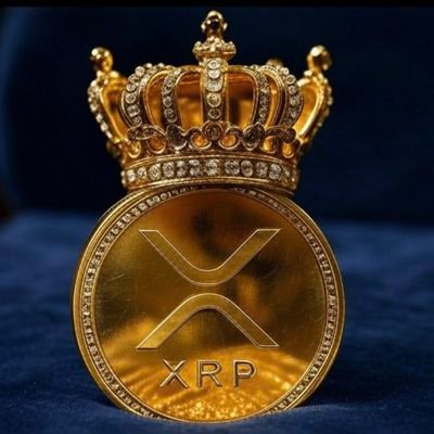 fitterrider12's profile picture. beginner