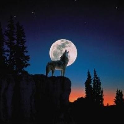 DhyabShnka83068's profile picture. 
