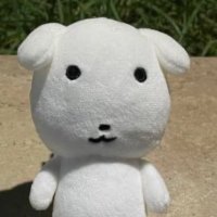 あ (@pxj07) 's Twitter Profile Photo