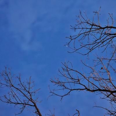 lovehood's profile picture. 나의 가장 큰 재능, 그것은 욕망