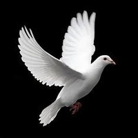 Katjes yes, yes,yes 💙🫶🕊️ (@kaupelt) 's Twitter Profile Photo Katjes yes, yes,yes 💙🫶🕊️ (@kaupelt) 's Twitter Profile Photo