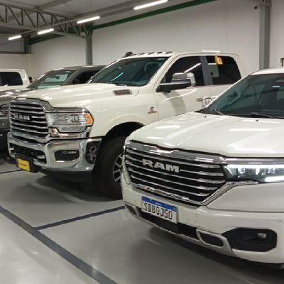 picapaunv's profile picture. Tudibom