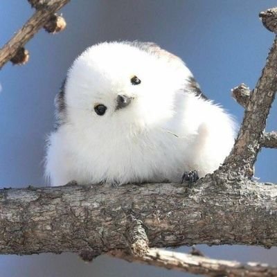 seosheepryong's profile picture. 숨기려해도 금세 얼굴에 드러나는 내 사랑 사람들이 사랑에 빠졌냐고 물어볼 정도라네