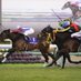 🏇ハル🏇 (@keiba2011144) Twitter profile photo 🏇ハル🏇 (@keiba2011144) Twitter profile photo