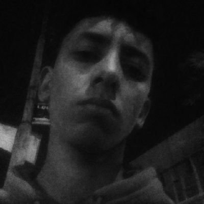 mo7sa3dany's profile picture. 