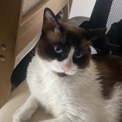 mtmttt_'s profile picture. 