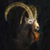 Sercan (@1234567sercan) Twitter profile photo Sercan (@1234567sercan) Twitter profile photo