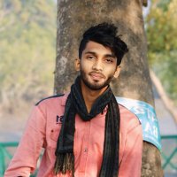 Toufiq Hasan (@toufiqhasa731) 's Twitter Profile