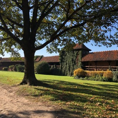 baodaoxunxian's profile picture. 