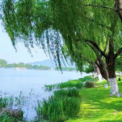 hkfreede's profile picture. Urology Consumables, Inflatable Penile Prosthesis OEM Manufacturer