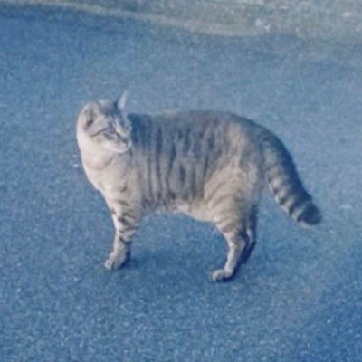 しゅだくんさんのプロフィール画像