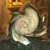 Luis BM (@luismig40234714) Twitter profile photo Luis BM (@luismig40234714) Twitter profile photo