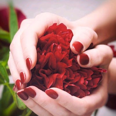 cross_fabl19437's profile picture. 