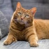 sourav_shariar's profile picture. Join our Telegram Channel for all verified airdrop & update

Telegram Channel Link : https://t.co/zL51KVsiVG