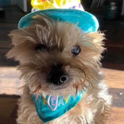 sailorjoonchild's profile picture. cody 💜 october 15, 2008 - february 19, 2025 // jaehyun whack me with ur drumsticks 🥁