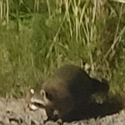 Jacirilla's profile picture. 