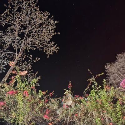 russian83206292's profile picture. I just want to die