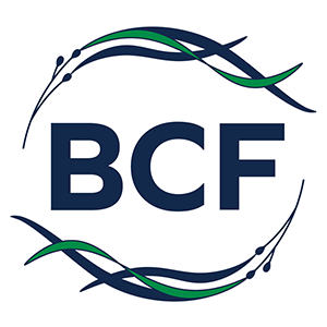 Blue_Convergence_Fund Profile