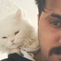 DARKمرد تنهای (@darkgraffitiart) 's Twitter Profile