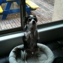 Rico Knight - @HppRico - Twitter