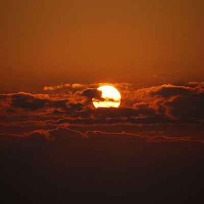 ay_ou8's profile picture. 🇩🇿