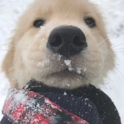 OH8SXJjrKv75742's profile picture. 