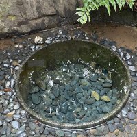 hikari (@hikarin100) 's Twitter Profile Photo