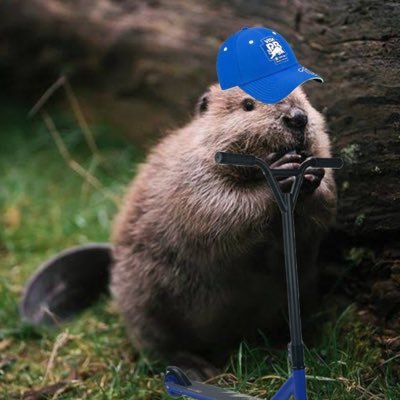 モタスポ好きの高2! モタスポ関連や野球関連のアカウントならフォロバします! 角田裕毅 ルイス・ハミルトン推し!! プロ野球も見てます! ベイスターズ、スワローズ、ホークス応援してます。 無言フォロー失礼しやす
