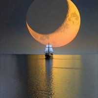 alradwan (@radw30) 's Twitter Profile