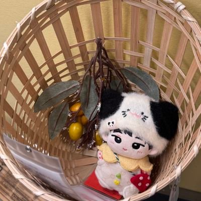 careform6446's profile picture. 折一下