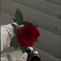 Diala (@dr_d44) 's Twitter Profile
