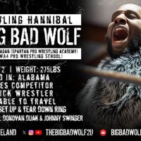 The Big Bad Wolf (@thebigbadwolf2u) 's Twitter Profile