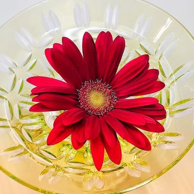 covid_197120's profile picture. 群馬県民2021年4月初旬にコロナ感染　後遺症らしき症状が辛い　コロナ後遺症情報収集と独り言　無言フォロー失礼します　ワクチン未接種　コロナにより退職