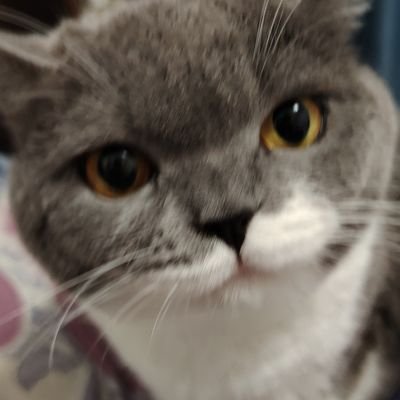 Redism213066's profile picture. 