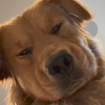 Whatyoukno48171's profile picture. 🔝