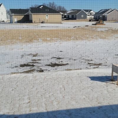 estanciero_real's profile picture. 