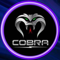 COBRA 3131 (@c0bra3131) 's Twitter Profile