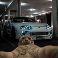 s niffin (@s_niffin) 's Twitter Profile