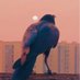 FTML (@whereismyangel9) Twitter profile photo FTML (@whereismyangel9) Twitter profile photo