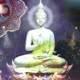 SWETM222's profile picture. U≮≯OURCREATOR≮≯I