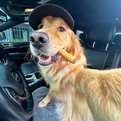 chapola420's profile picture. 