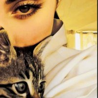 CeyLan (@cylnefin) 's Twitter Profile Photo CeyLan (@cylnefin) 's Twitter Profile Photo