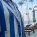 Seagull Ryszard (@seagullrichard) Twitter profile photo Seagull Ryszard (@seagullrichard) Twitter profile photo