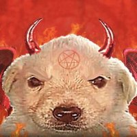 venus 🦂 (@venustactile) 's Twitter Profile